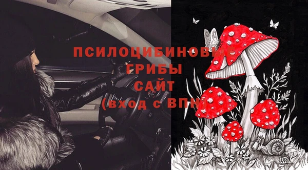 стаф Вуктыл